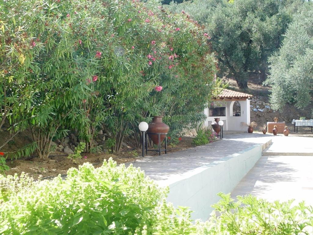 Villa Maro سكوبيلوس تاون المظهر الخارجي الصورة